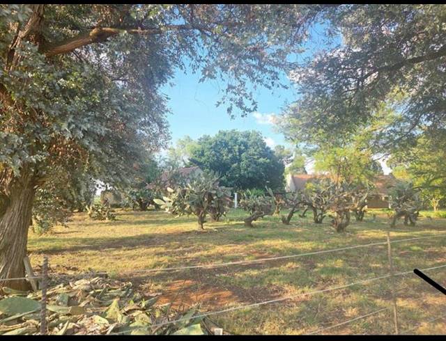 FARM FOR SALE IN ENDICOTT